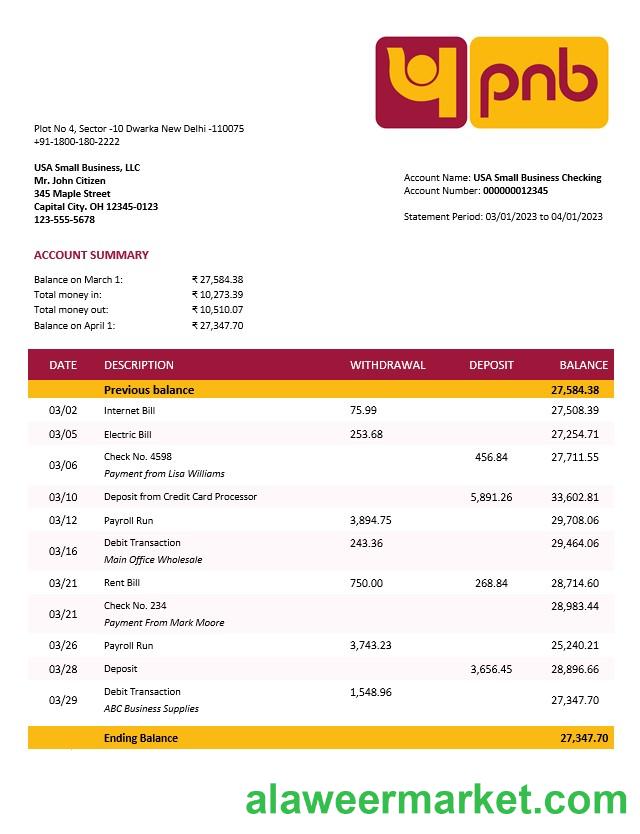 Punjab National Bank business statement Word and PDF template
